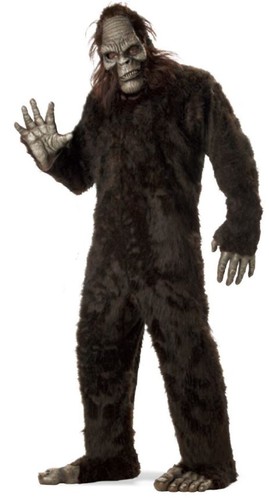 Costume adulto tipo - , mascotte