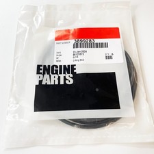 Lotto 6 Guarnizioni O Ring