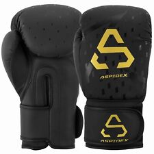 Guantoni da boxe Allenamento