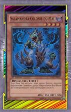 Salamandra Colonie Du Mal