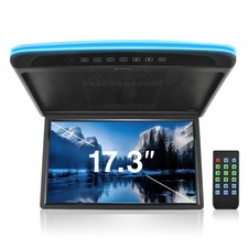 Display da soffitto auto 17,3"