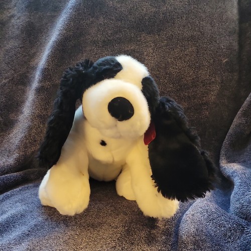 Springer spaniel huntly - spaniel,