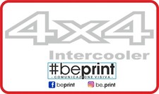 Coppia NISSAN-TERRANO-QX4-Infinity-4x4-INTERCOOLER ADESIVI