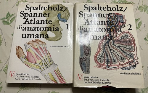 Bis atlante anatomia umana - anatomia,