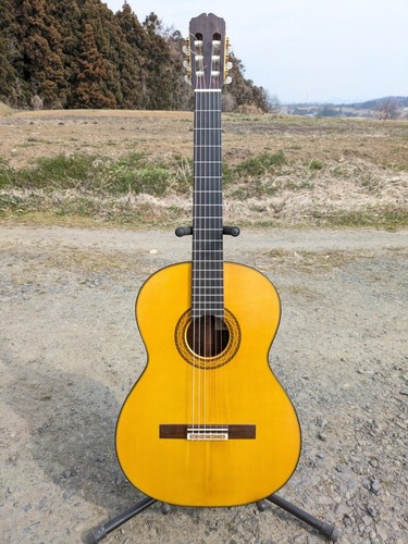 Chitarra acustica classica