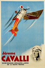 363118 Poster Stampa Pilota