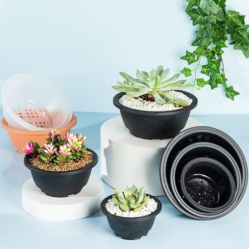 Vaso per bonsai plastica - bonsai, in