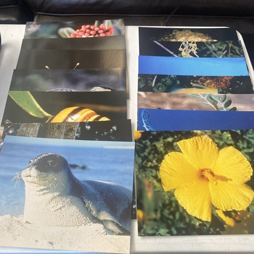 Lot hawaiian islands - (20), of