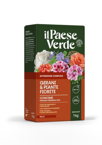 Paese verde gerani piante - paese, e