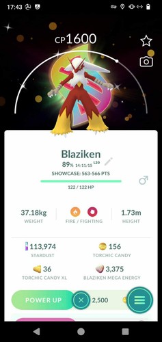 Pokemon shiny blaziken special - pokemon,