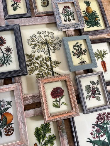 Dipinti botanici vetro - in,