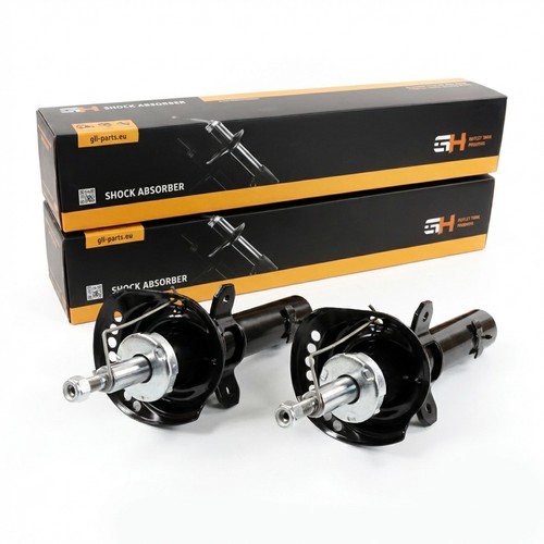 Coppia ammortizzatori gas - a,