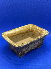 mini vaso bonsai Tokoname