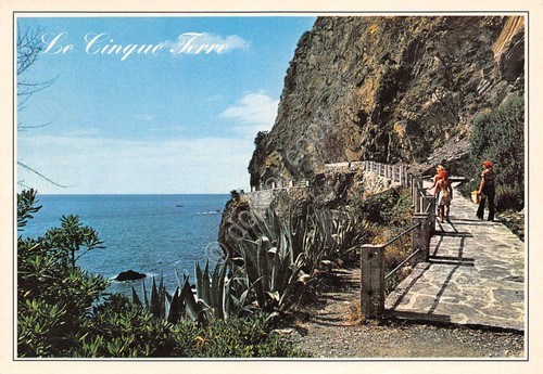 Cartolina cinque terre - cinque,