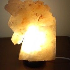 LAMPADA DI SALE DELL HIMALAYA a forma di testa di CAVALLO