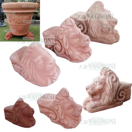 Piedi piedini testa leone