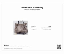 Louis Vuitton Evora Damier