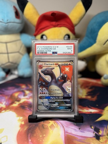 Charizard pokemon sole - gx,