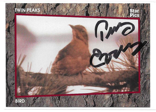Twin peaks start pics 1991 - twin,