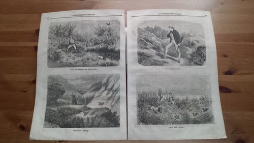 1873 illustrazione caccia - 1873, illustrazione: