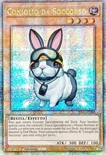 Coniglio da Soccorso - Segreta