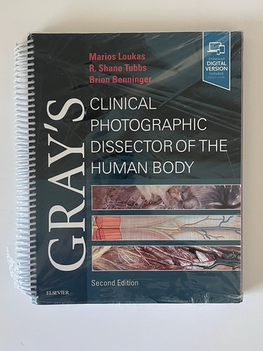 Gray anatomy s - anatomy, gray's