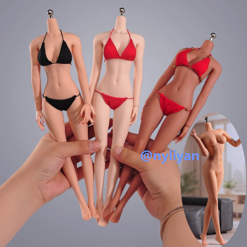 Modellino ant t303 femmina - 1/6,
