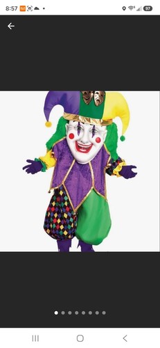 Costume piacere festajester - costume,