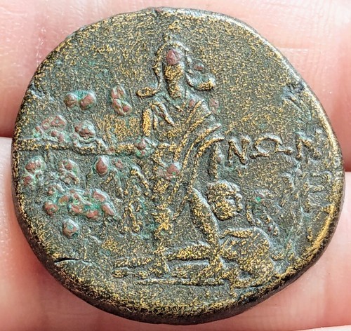 Perseus medusa pontos - vs,