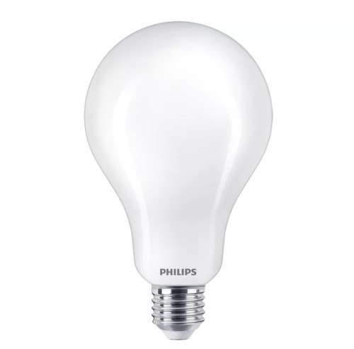 Lampadina led a95 philips - a95,