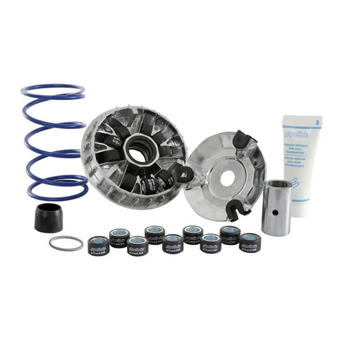 Variatore speed 241 665 - variatore, 241.665