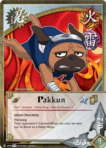 Pakkun foil path - foil,