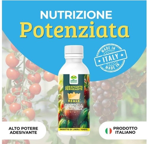 Bagnante adesivante permeante - bagnante,