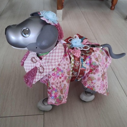 Completo kimono hifu - , rosa