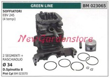 Cilindro pistone segmenti