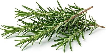 Semi rosmarino - di,