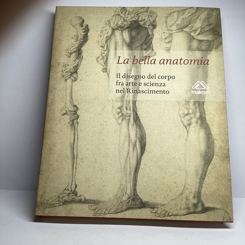 Bella anatomia disegno - la,