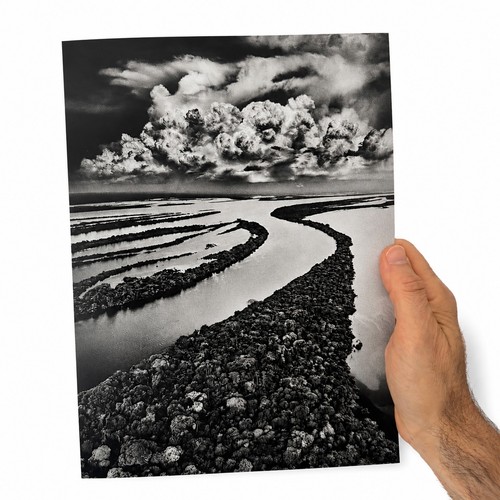 Stampa fotografica sebastião - stampa,