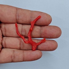 Ramo di corallo rosso