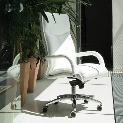 Poltrona professionale - poltrona,