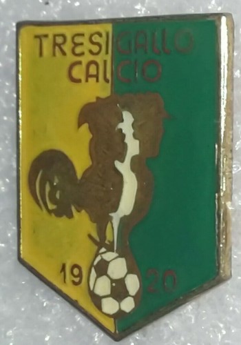 Distintivo calcio emilia - distintivo,