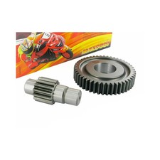 Ingranaggi secondari MALOSSI Z