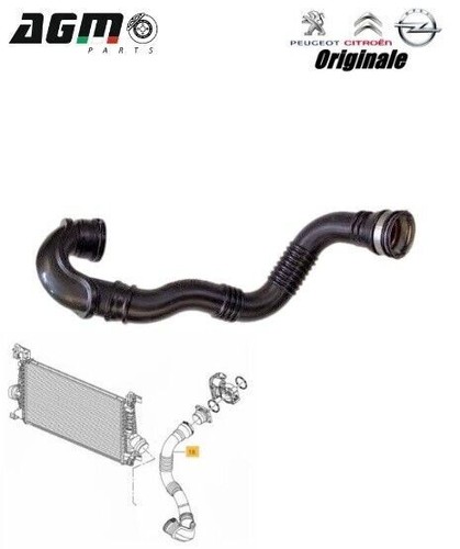 Manicotto tubo scarico aria - tubo,