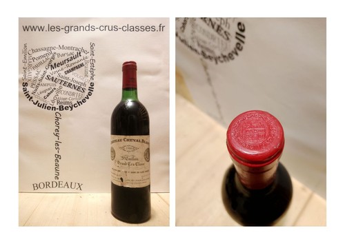 Château cheval blanc - château,
