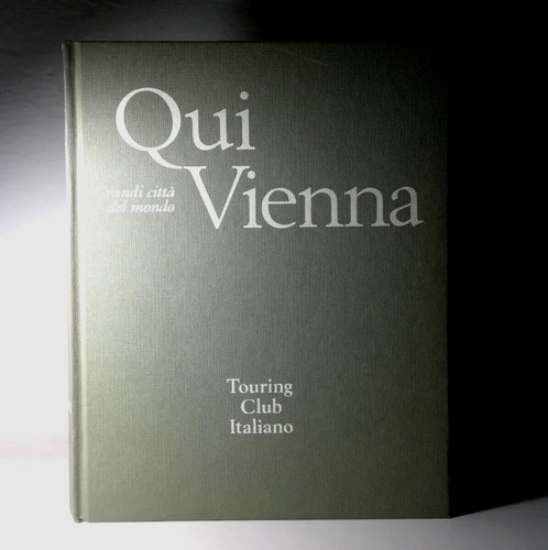 Qui vienna grandi citta del - vienna,