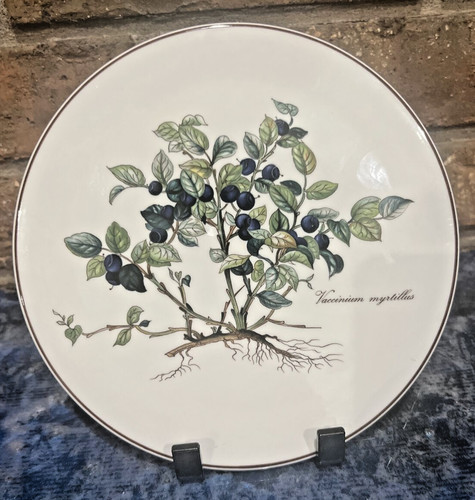 Villeroy boch botanica - &,