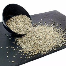 Bajra kambhu perla - bajra, miglio