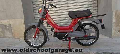 Califfone rizzato - califfone,
