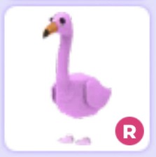 Ride flamingo cheap - ride, flamingo❤️