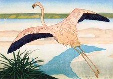 Flamingo carl moser - flamingo,